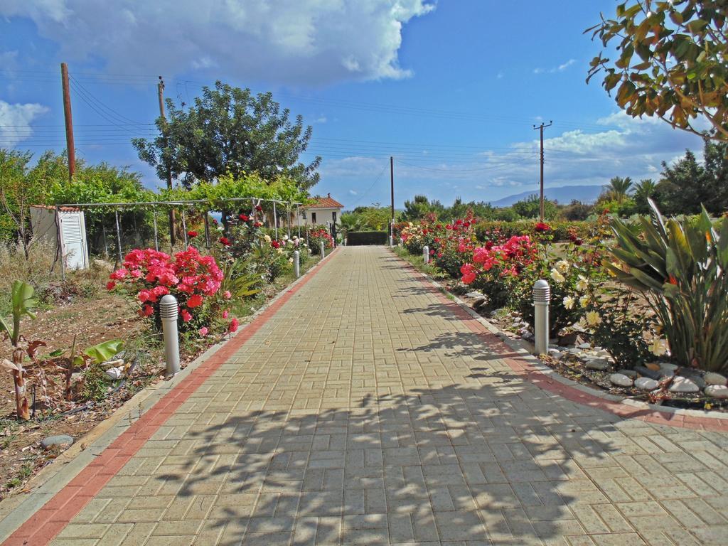 Eliofos Luxury Villa Polis Екстер'єр фото