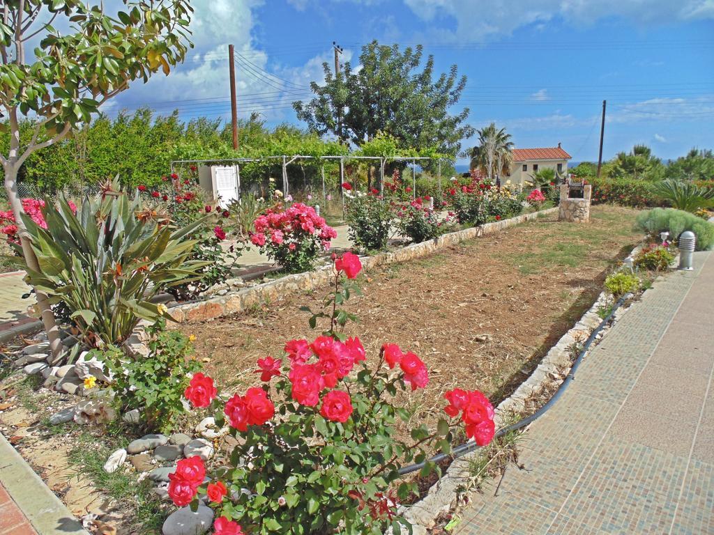 Eliofos Luxury Villa Polis Екстер'єр фото