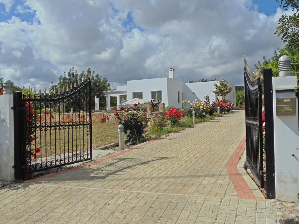 Eliofos Luxury Villa Polis Екстер'єр фото