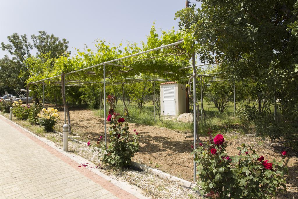 Eliofos Luxury Villa Polis Екстер'єр фото