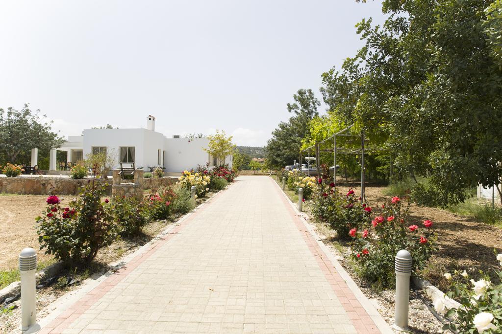 Eliofos Luxury Villa Polis Екстер'єр фото