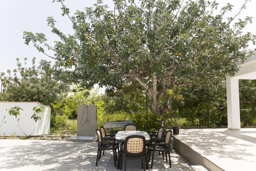 Eliofos Luxury Villa Polis Екстер'єр фото